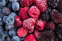 The Blooming Sector of Frozen Berries in Europe